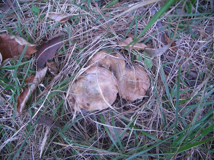 c0197004_035228.jpg