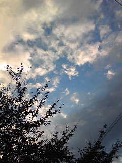 c0097806_7362013.jpg