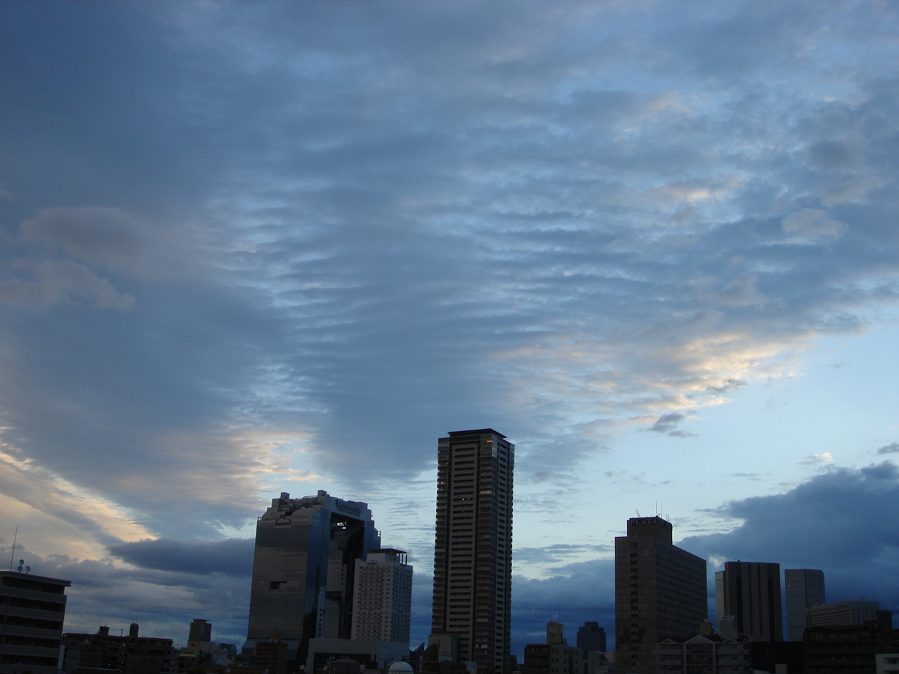 d0154508_702417.jpg