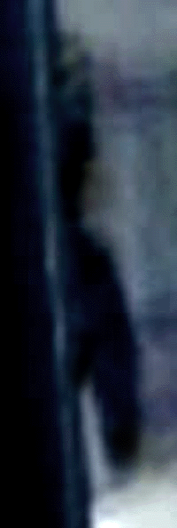 e0103408_14273783.gif