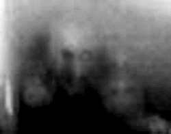 e0103408_1442787.gif