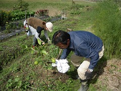 c0190010_20503440.jpg