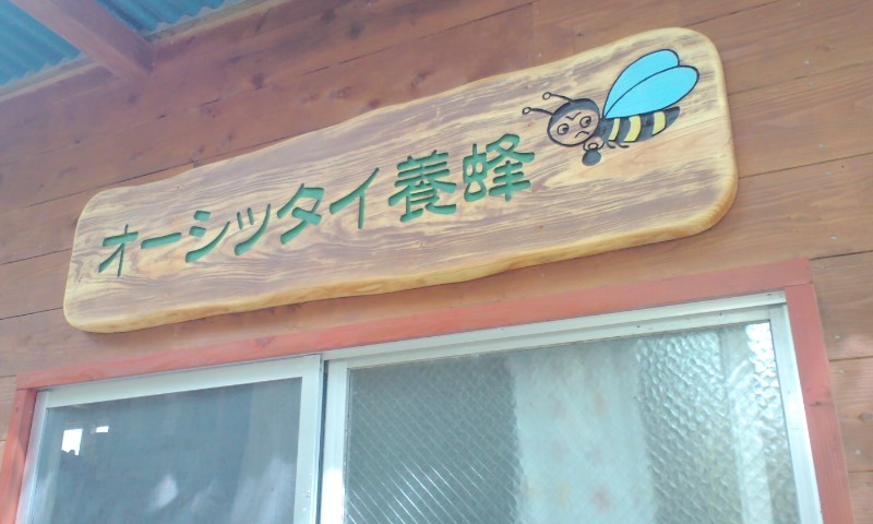 e0071811_2262142.jpg