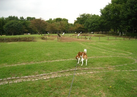 c0084117_15114572.jpg