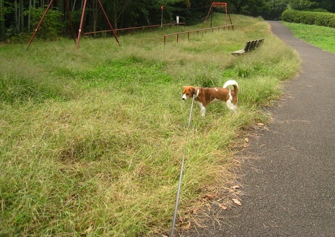 c0084117_1514469.jpg