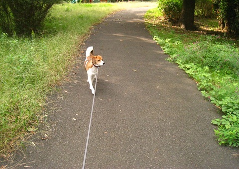 c0084117_151612.jpg