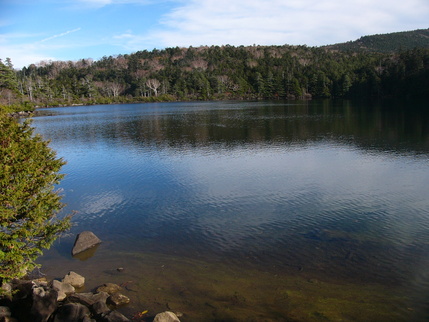 d0183417_053316.jpg