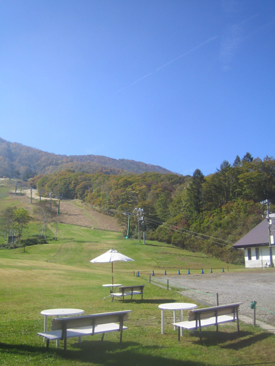 e0141819_17263944.jpg