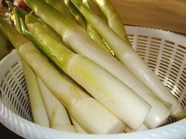 c0219220_2133048.jpg