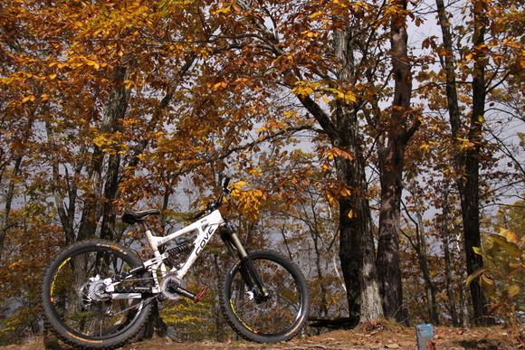 a0161427_1381226.jpg