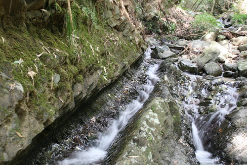 e0033229_833062.jpg