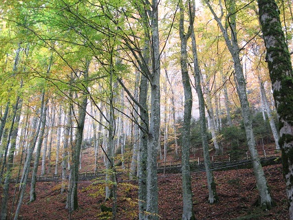 f0234936_645261.jpg