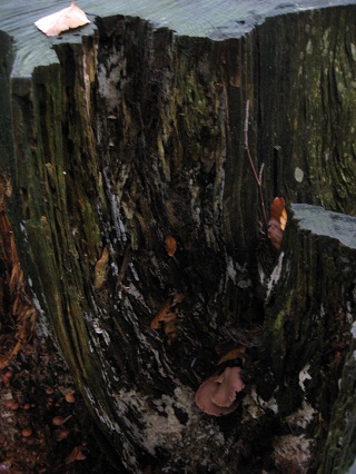 f0234936_650224.jpg