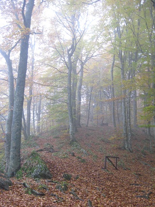 f0234936_6505166.jpg