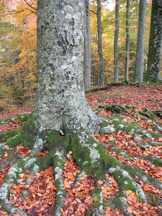 f0234936_6513981.jpg