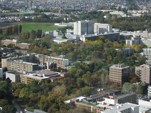 b0006537_219425.jpg