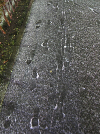 b0006537_2195457.jpg