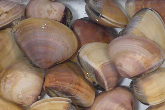 f0208737_8373792.jpg