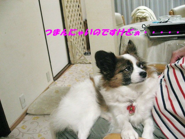 a0149240_7315838.jpg