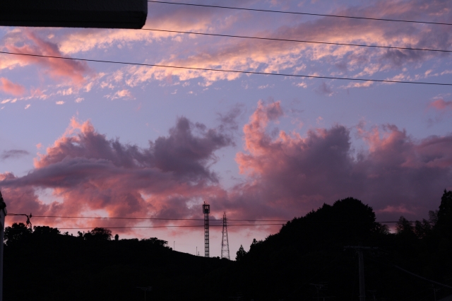 c0202541_23252653.jpg