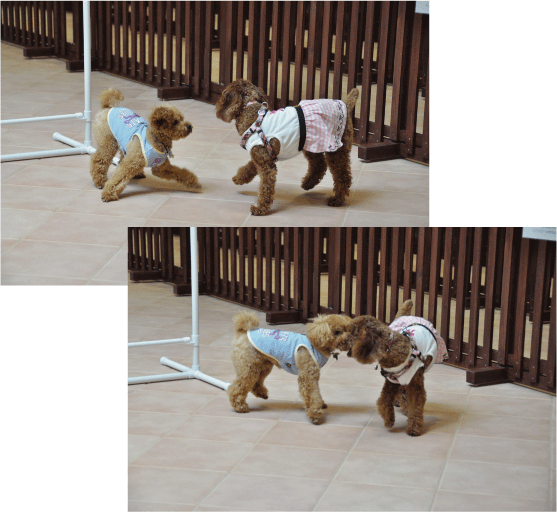 b0182846_15373377.gif