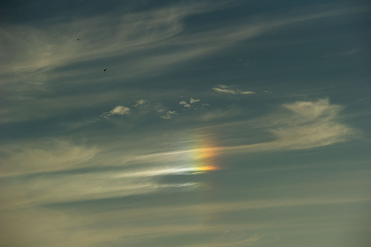b0023047_75669.jpg