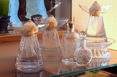 f0210048_1635189.jpg