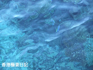 f0190653_12390100.jpg