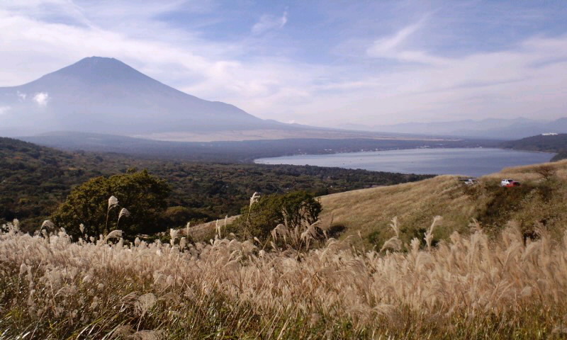 f0082659_10542590.jpg