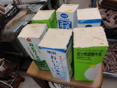 c0108460_1314236.jpg