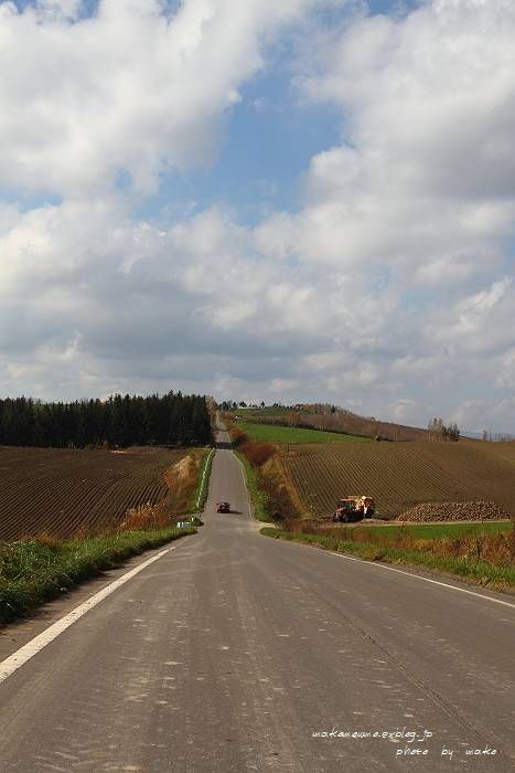f0103860_14355539.jpg