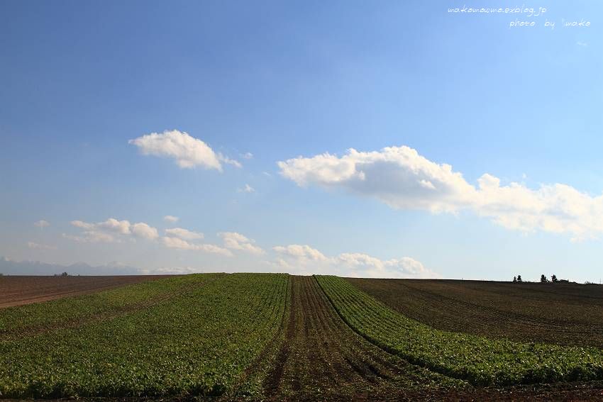 f0103860_1513680.jpg