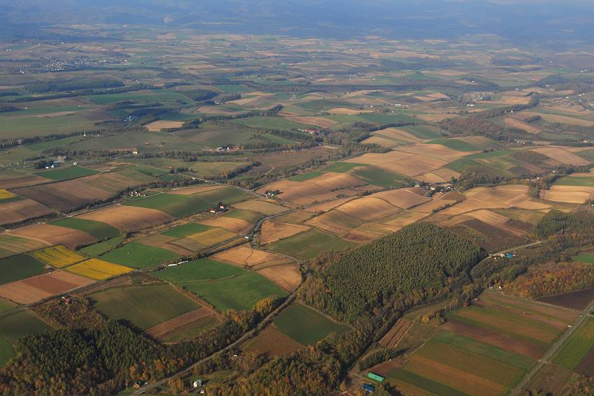 f0103860_15203089.jpg