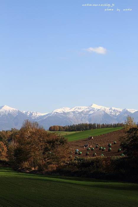 f0103860_15215730.jpg