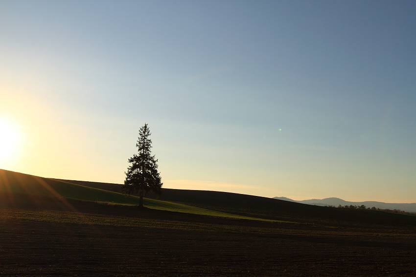 f0103860_1725538.jpg