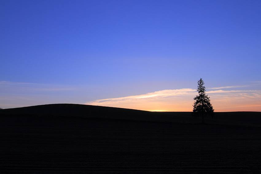 f0103860_17262280.jpg