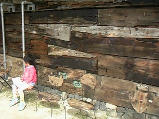 f0142668_123276.jpg