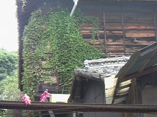 f0142668_12422369.jpg