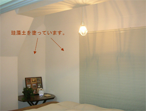 c0052470_1636962.jpg