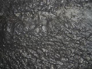c0098871_1345187.jpg