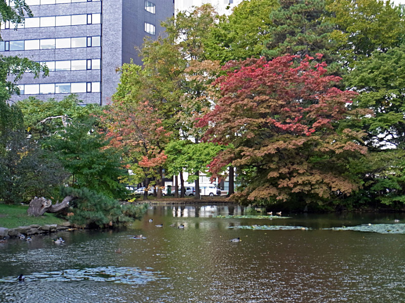 e0100772_23144029.jpg