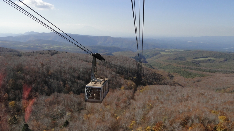 c0183777_20411548.jpg