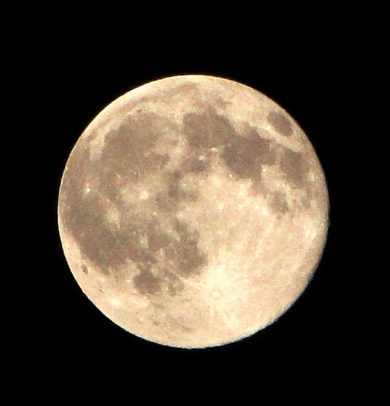 c0183777_21175530.jpg