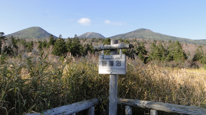 c0183777_214625.jpg