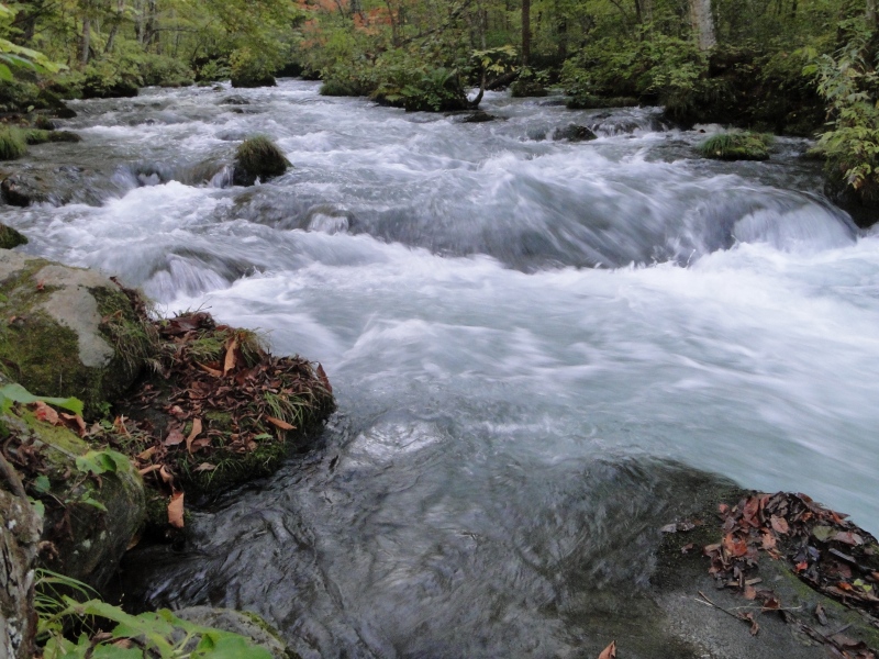 c0183777_218229.jpg