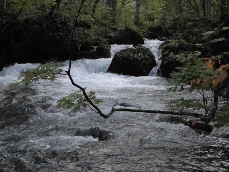 c0183777_2183975.jpg