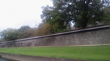 f0054677_8142973.jpg