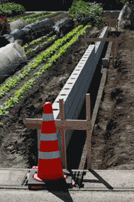 a0116378_12552333.gif