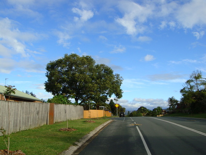 c0024579_0425695.jpg