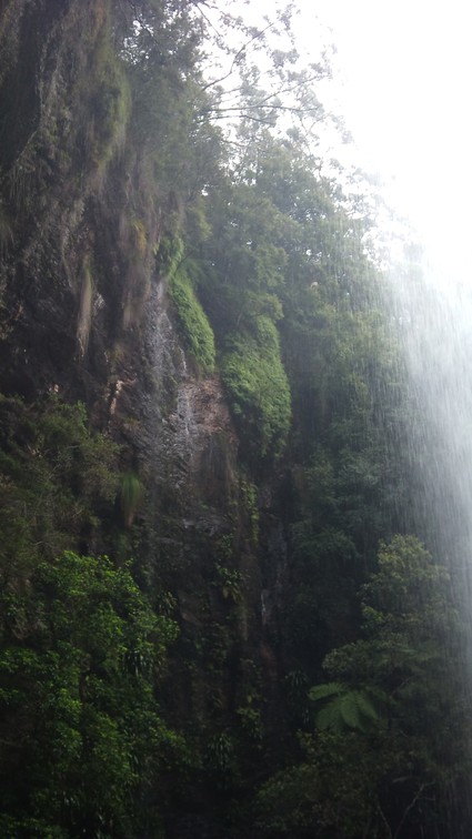 c0024579_21543619.jpg